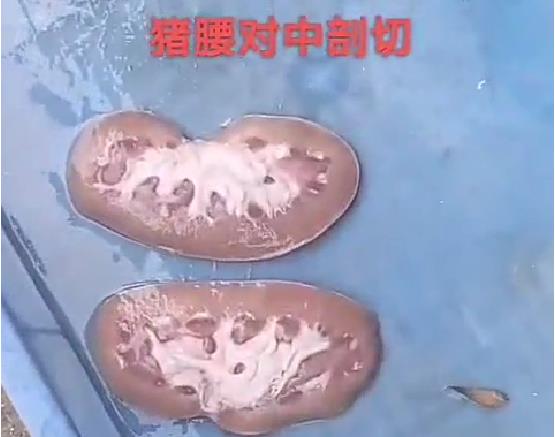 The video of two splatter test machine was shot for the middle section of pig waist